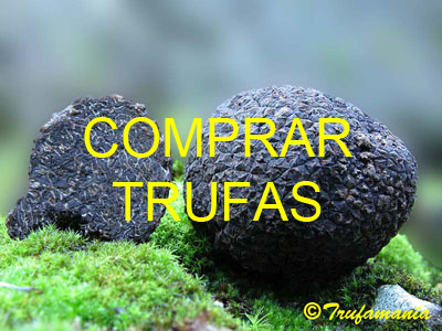 Venta de trufas